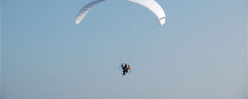 learn to fly the black tomato way